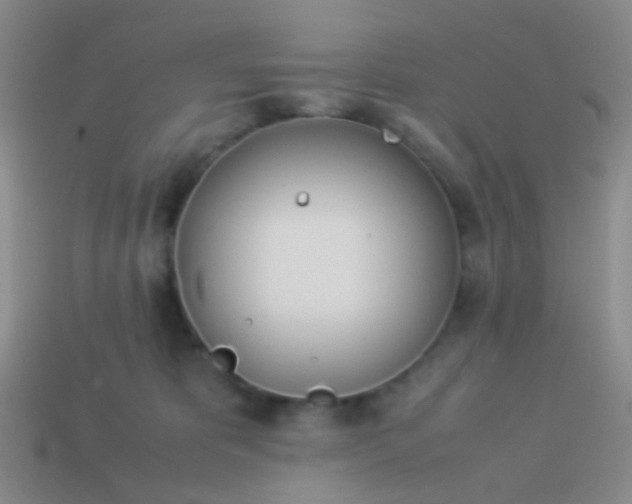 X0000114010325200910161739