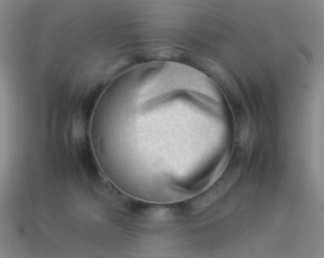 X0000114010326200910161739