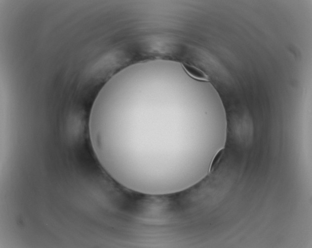 X0000114010328200910161739