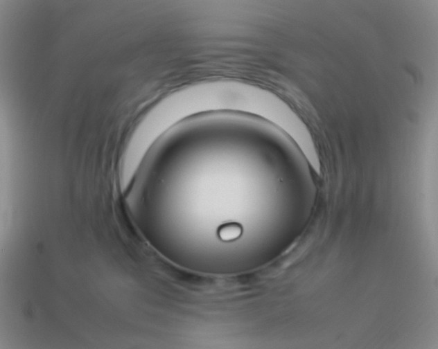 X0000114010329200910161739