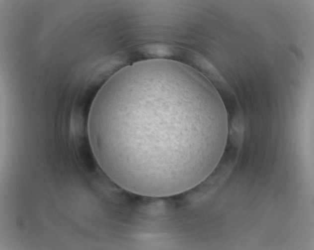 X0000114010330200910161739