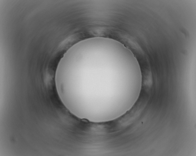 X0000114010332200910161739