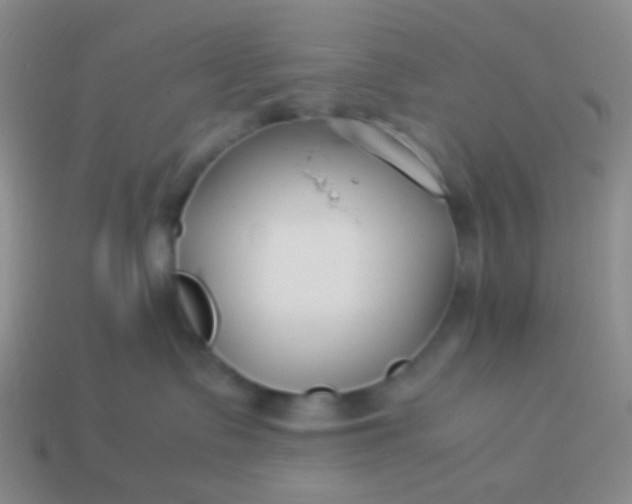 X0000114010335200910161739