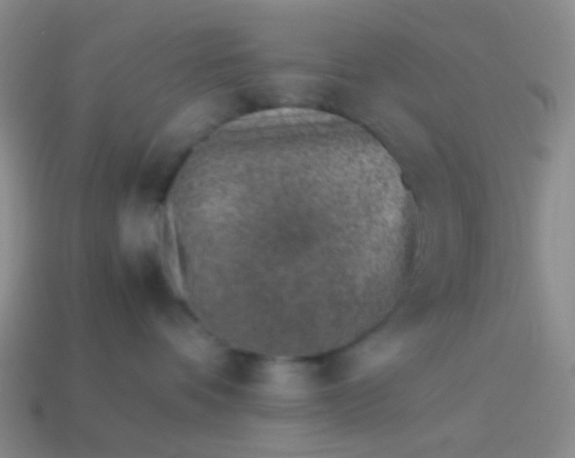 X0000114010336200910161739