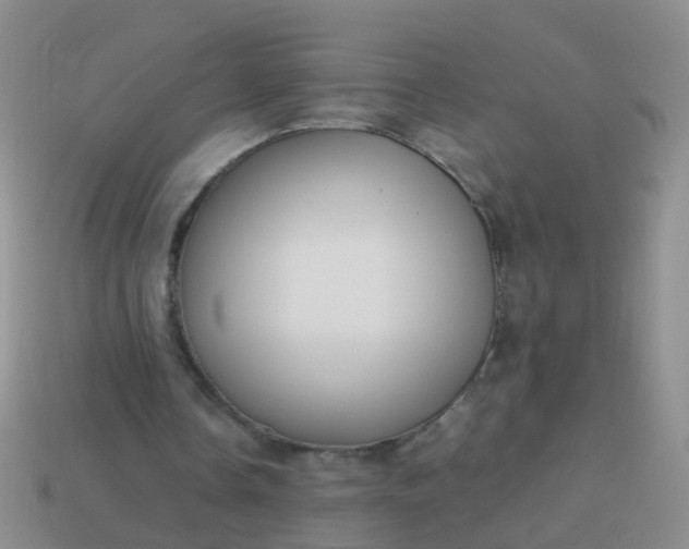 X0000114010338200910161738