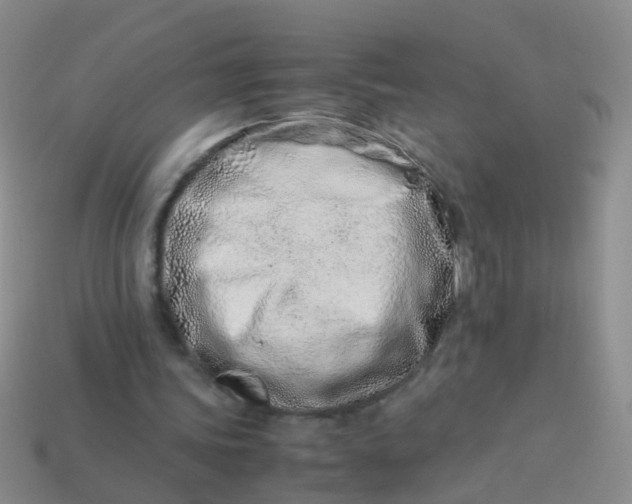 X0000114010339200910161738