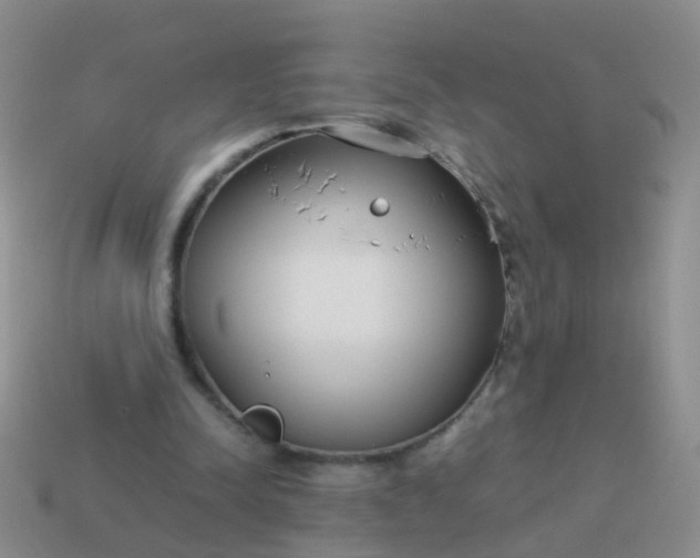 X0000114010342200910161738