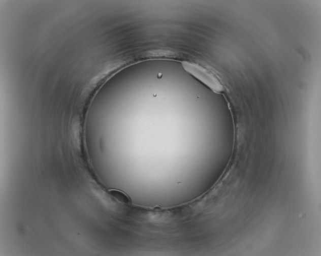 X0000114010345200910161738