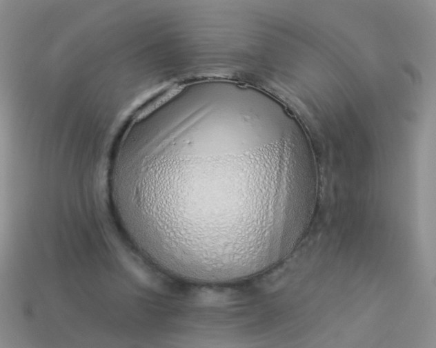 X0000114010346200910161738