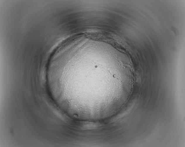 X0000114010347200910161738