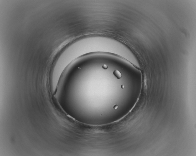 X0000114010348200910161738