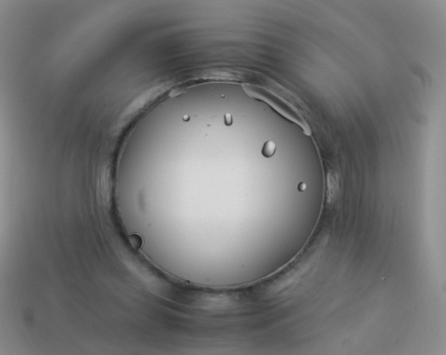 X0000114010349200910161738