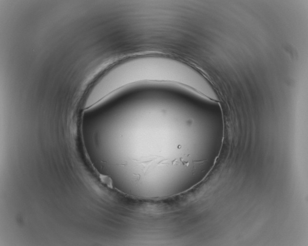 X0000114010350200910161738