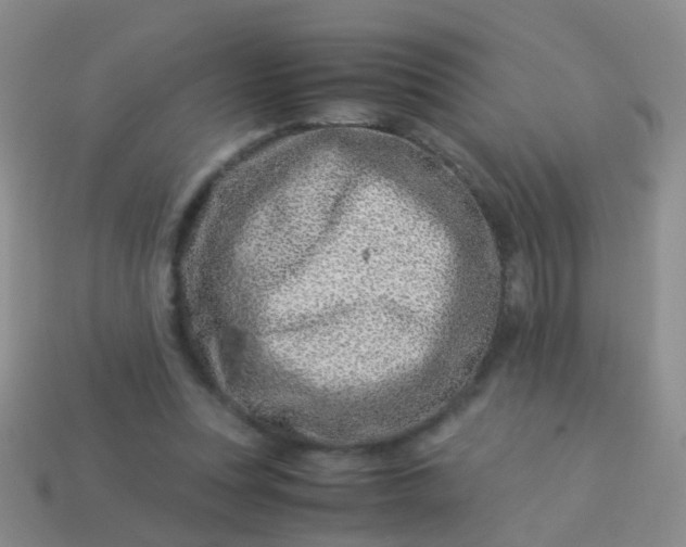 X0000114010351200910161738