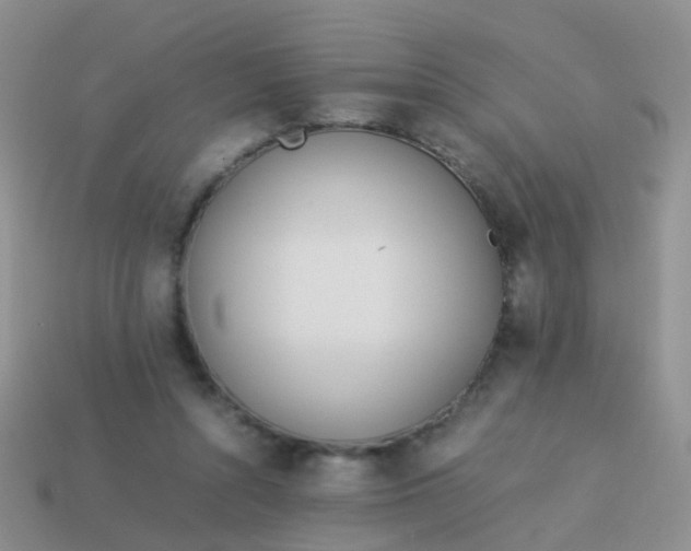 X0000114010352200910161738