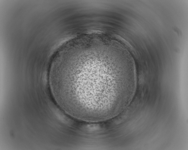 X0000114010353200910161738