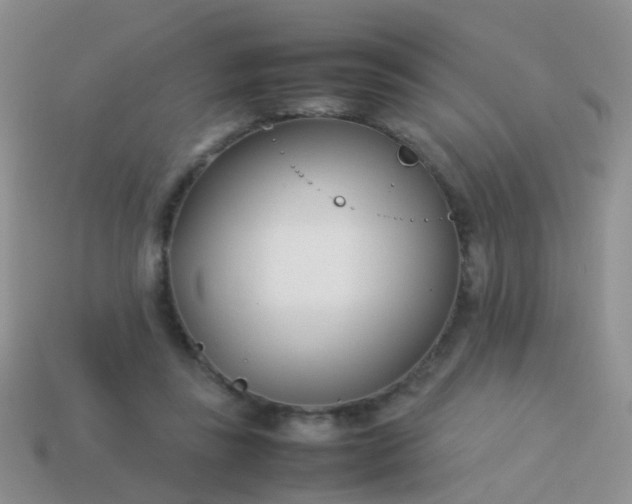 X0000114010355200910161738