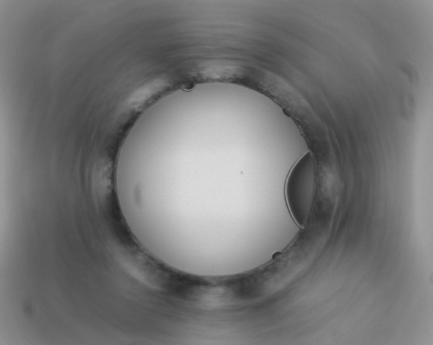 X0000114010356200910161739