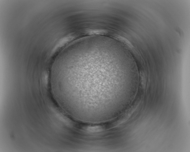 X0000114010357200910161739