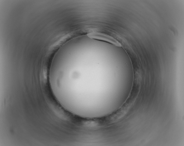 X0000114010358200910161739