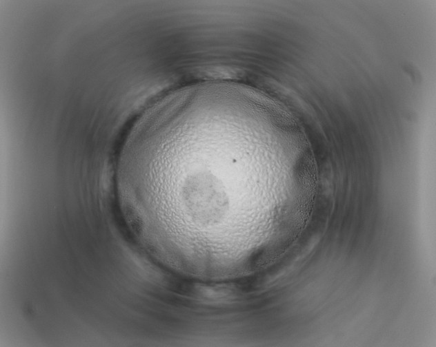 X0000114010359200910161739