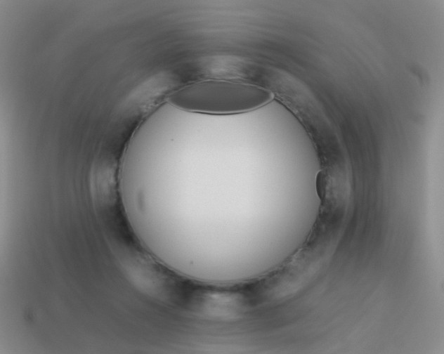 X0000114010360200910161739