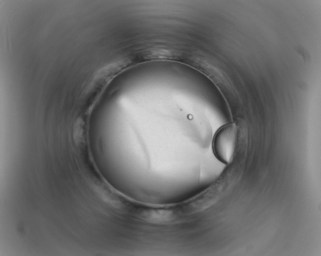 X0000114010361200910161739