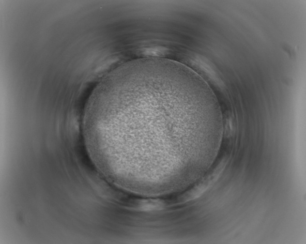 X0000114010363200910161739