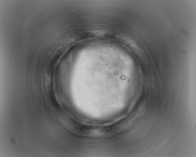 X0000114010365200910161739