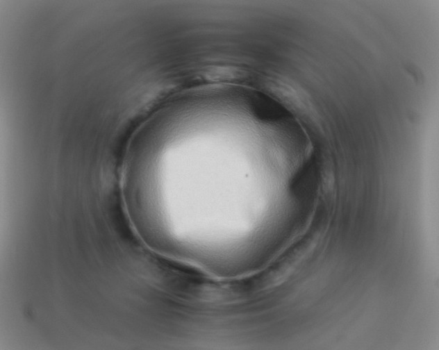 X0000114010367200910161739