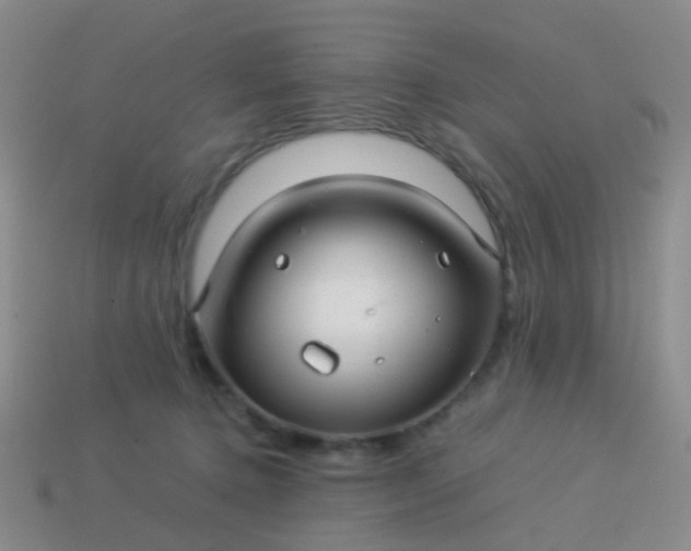 X0000114010368200910161739