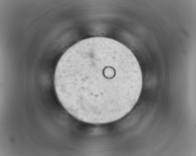 X0000114010370200910161739