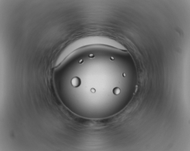 X0000114010372200910161739