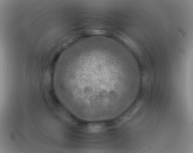 X0000114010373200910161739