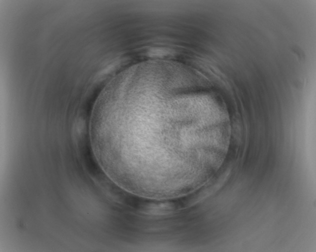 X0000114010375200910161739