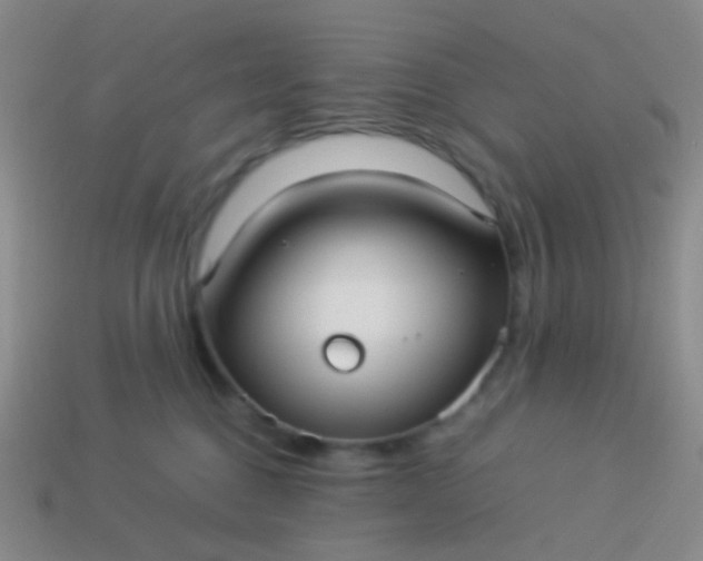 X0000114010376200910161739