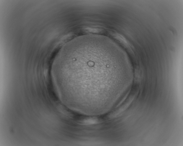 X0000114010377200910161739