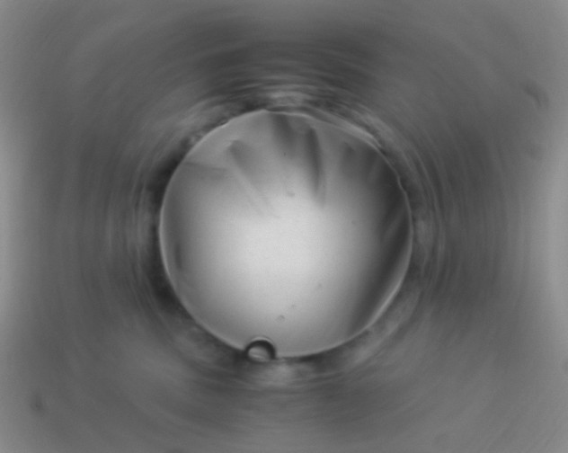 X0000114010379200910161739