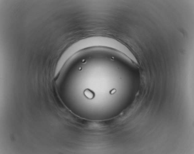 X0000114010380200910161739