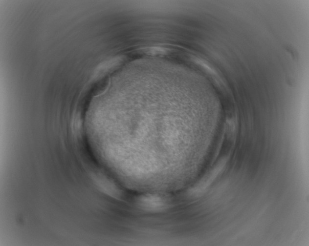 X0000114010381200910161739