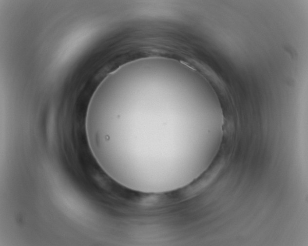 X0000114010382200910161739