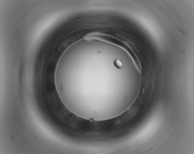 X0000114010383200910161739