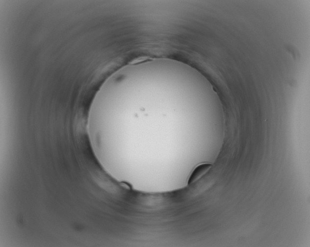 X0000114010384200910161739