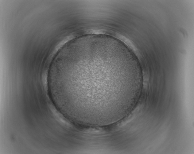 X0000114010386200910161738