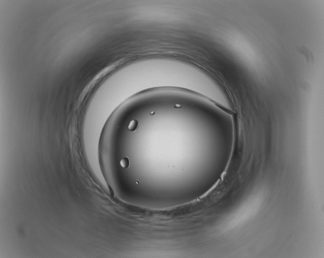 X0000114010387200910161738