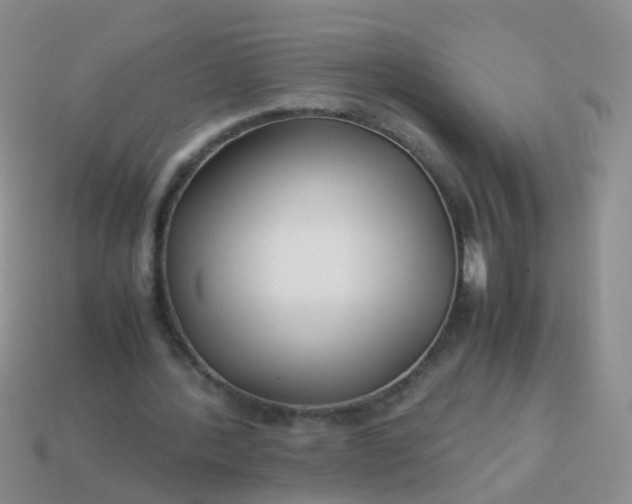 X0000114010388200910161738