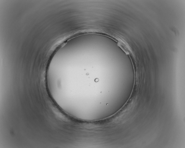 X0000114010389200910161738