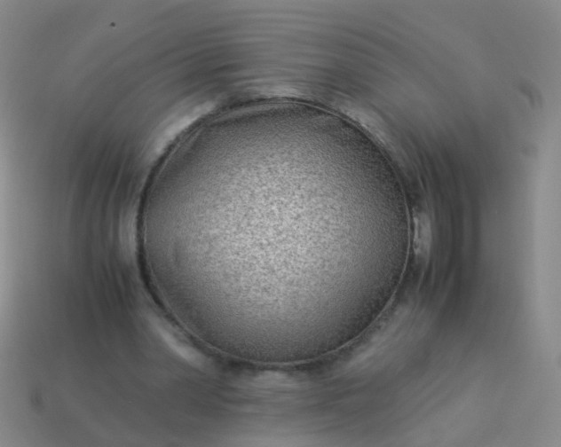 X0000114010390200910161738