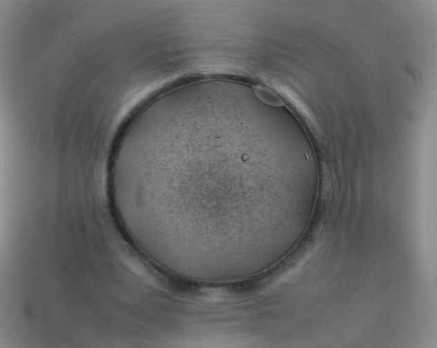 X0000114010391200910161738