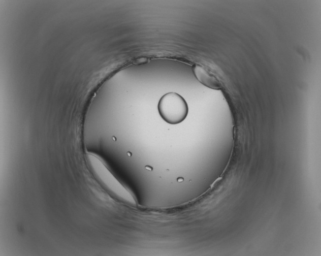 X0000114010393200910161738